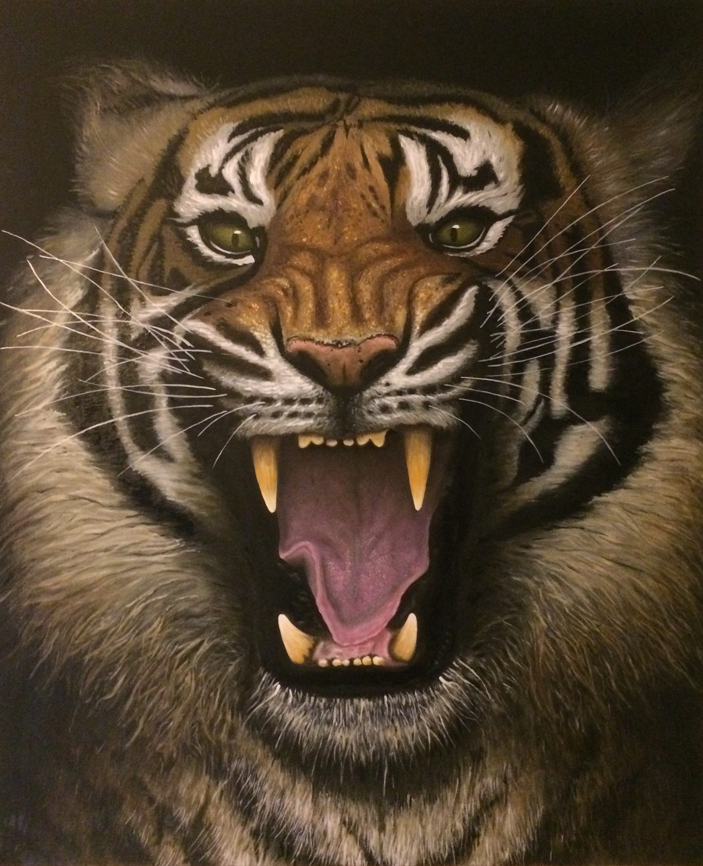 Original creation by Bruno Leprêtre — tiger portrait